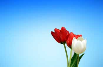 软件授权中心的网站攻击防护