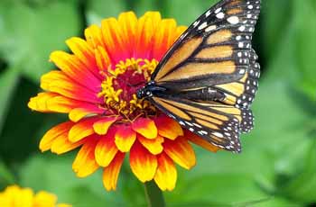 ddos在线攻击测试网站