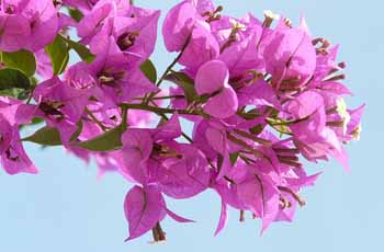 ddos在线攻击测试网站