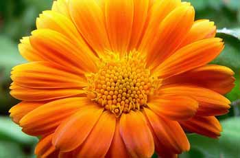 网络ddos监测分析工具